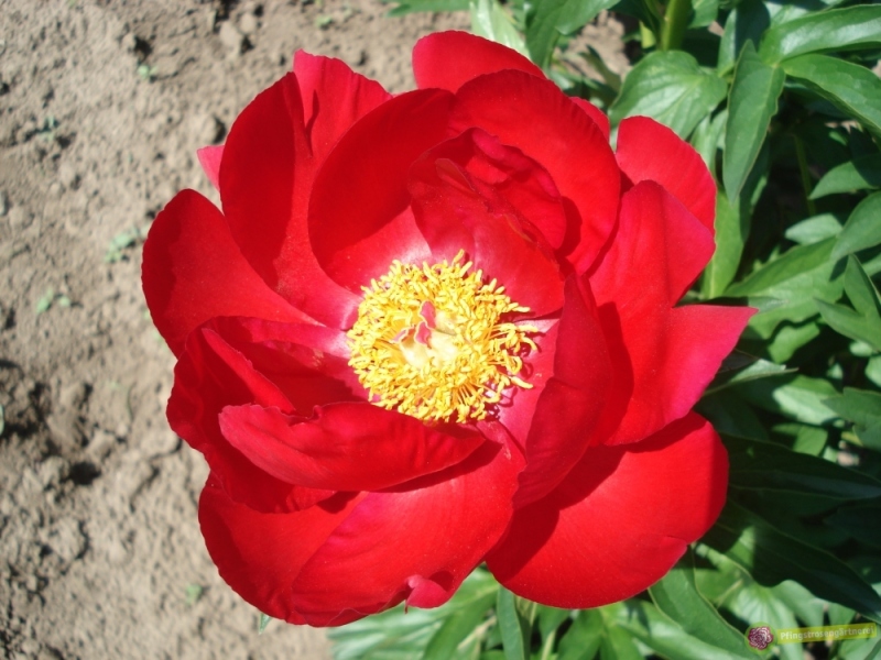 dsc04346