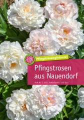 katalog_pfingstroseng%c3%a4rtnerei_2015