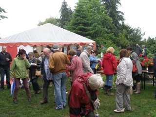 Pfingstrosenfest 2013