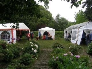 Pfingstrosenfest 2013